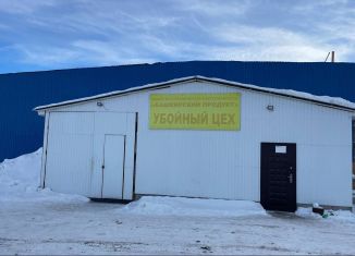 Помещение свободного назначения на продажу, 3500 м2, Сибай, улица Сельхозтехника, 18/1