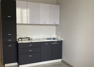 Продажа квартиры студии, 19.1 м2, деревня Дударева, улица Сергея Джанбровского, 1