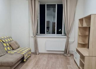 Аренда квартиры студии, 26 м2, Пермский край, улица Куйбышева, 109А