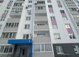 Сдается в аренду 1-комнатная квартира, 30 м2, Саратов, улица имени Виктора Аржаного, Ленинский район