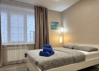 Сдам в аренду 2-ком. квартиру, 45 м2, Москва, улица Ивана Бабушкина, 18к1