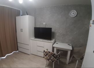 Сдается квартира студия, 24 м2, Мордовия, улица Филатова, 5