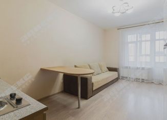 Продам квартиру студию, 23.6 м2, Санкт-Петербург, Союзный проспект, 4, метро Новочеркасская