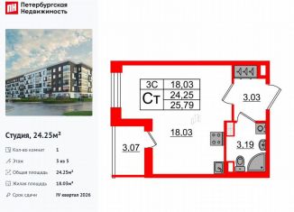 Квартира на продажу студия, 24.3 м2, Санкт-Петербург