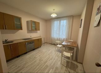 Сдается 2-ком. квартира, 69 м2, Екатеринбург, улица Чкалова, 231, метро Чкаловская