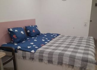 Сдам квартиру студию, 25 м2, Омск, улица Кирова, 181