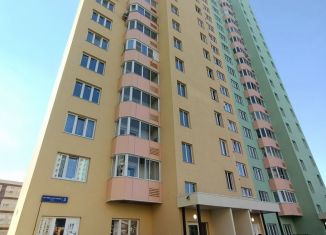 Продам квартиру студию, 22.8 м2, деревня Островцы, улица Лётчика Волчкова, 3