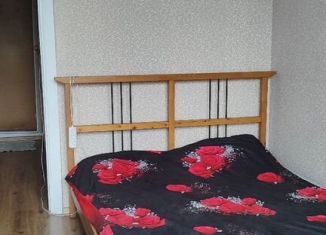 Сдам квартиру студию, 15 м2, Новосибирск, улица Палласа, 3