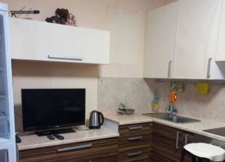 Сдается квартира студия, 22 м2, Пермь, Агатовая улица, 36