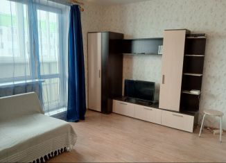 Продается квартира студия, 24.1 м2, Пермский край, Весенняя улица, 34