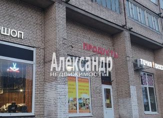 Сдается в аренду 1-ком. квартира, 28 м2, Санкт-Петербург, улица Шотмана, 11, муниципальный округ № 54