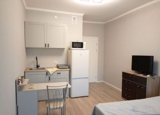 Сдается квартира студия, 27 м2, посёлок Шушары, улица Нины Петровой, 6к3