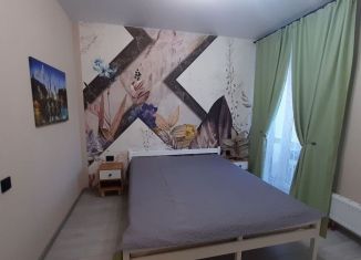 Сдам в аренду 1-комнатную квартиру, 45 м2, Пермский край, улица Малкова, 12