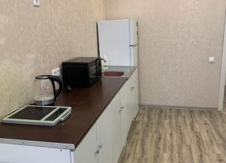 Сдам в аренду 1-комнатную квартиру, 45 м2, Новосибирск, улица Кошурникова, 22/2, метро Маршала Покрышкина