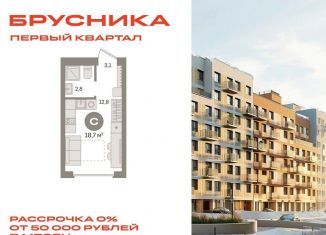 Продажа квартиры студии, 18.7 м2, деревня Сапроново, деревня Сапроново, 6