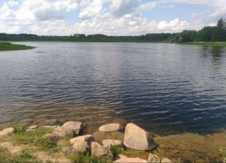 Продам участок, 8.7 сот., деревня Ляды, 41К-475