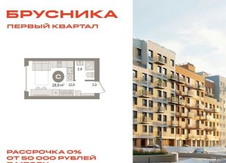 Продается квартира студия, 18.6 м2, деревня Сапроново