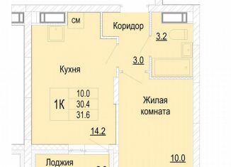 Продается 1-комнатная квартира, 31.6 м2, Нижегородская область