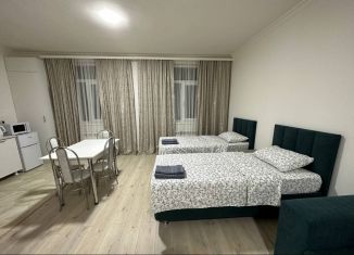 Комната в аренду, 40 м2, Чечня, Петропавловское шоссе, 10Б