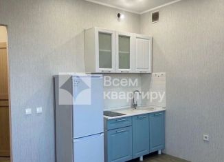 Сдаю в аренду квартиру студию, 19 м2, Новосибирск, Большая улица, 676