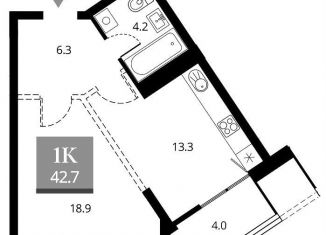 Продаю 1-комнатную квартиру, 42.7 м2, Новосибирск, Железнодорожный район, Прибрежная улица, 4/2