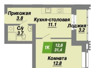 Продаю 1-ком. квартиру, 31.4 м2, Санкт-Петербург, Славянская улица, 1, метро Рыбацкое