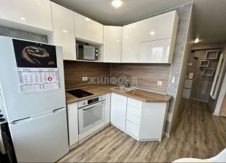 Продается 1-комнатная квартира, 30 м2, Новосибирск, метро Площадь Ленина, Вокзальная магистраль, 11