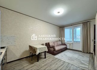 Продается квартира студия, 25 м2, Мурино, Воронцовский бульвар, 12, ЖК Гринландия