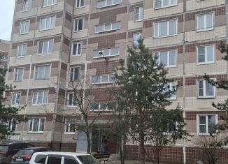 Сдаю в аренду 1-ком. квартиру, 33 м2, Ногинск, улица 3-го Интернационала, 88