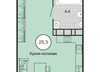 Продается квартира студия, 26.3 м2, Михайловск, Князевский переулок, 91