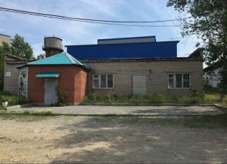 Продаю помещение свободного назначения, 100 м2, Кыштым, улица Красной Звезды, 102