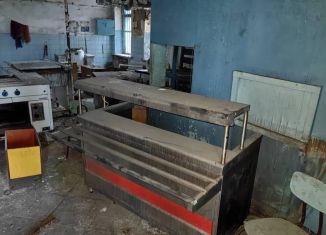 Продается производство, 311.3 м2, Новосибирская область, Центральная улица, 20