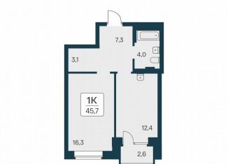 Продажа однокомнатной квартиры, 45.7 м2, Новосибирск, метро Сибирская