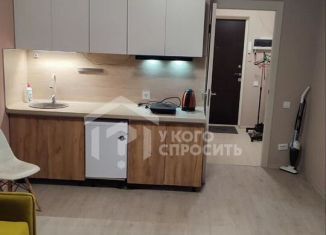 Сдается в аренду квартира студия, 25 м2, Мурино, Екатерининская улица, 10