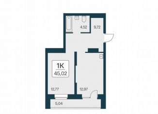 Продажа 1-комнатной квартиры, 45 м2, Новосибирская область