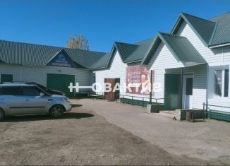 Продается торговая площадь, 380 м2, село Петропавловское, Партизанская улица, 61А