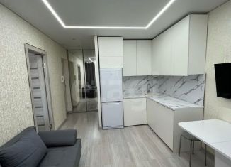 Продажа 1-ком. квартиры, 30.4 м2, Татарстан, улица Дементьева, 31А