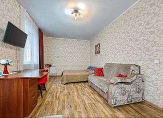 Сдача в аренду 1-комнатной квартиры, 50 м2, Новосибирск, улица Фрунзе, 49