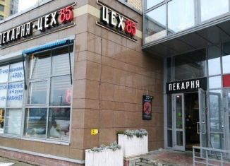 Продам помещение свободного назначения, 102.3 м2, Санкт-Петербург, проспект Просвещения, 15, муниципальный округ Шувалово-Озерки