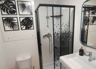 Сдаю квартиру студию, 25 м2, Люберцы, улица Лётчика Ларюшина, 2, ЖК Жулебино Парк