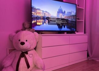 Сдам однокомнатную квартиру, 32 м2, Мурино, улица Шувалова, 27/7, ЖК Гринландия-2