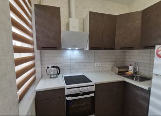 Сдаю однокомнатную квартиру, 29 м2, Сочи, Демократическая улица, 106, микрорайон Черемушки