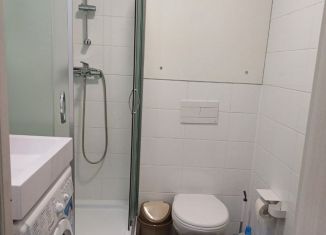 Сдаю в аренду квартиру студию, 28 м2, Люберцы, улица Лётчика Ларюшина, 4/1, ЖК Жулебино Парк