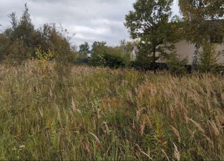 Продам земельный участок, 9.1 сот., деревня Райки