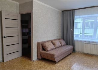 Аренда однокомнатной квартиры, 30.4 м2, Биробиджан, улица Димитрова, 3