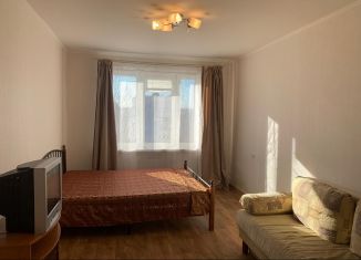 Сдача в аренду 1-ком. квартиры, 33 м2, Москва, Шоссейная улица, 19к2, метро Печатники