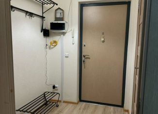 Сдам в аренду однокомнатную квартиру, 30 м2, городской посёлок Янино-1, Голландская улица, 10к2, ЖК Новое Янино