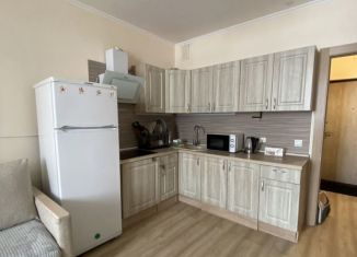 Квартира в аренду студия, 25 м2, Мурино, Петровский бульвар, 14к5, ЖК Краски Лета