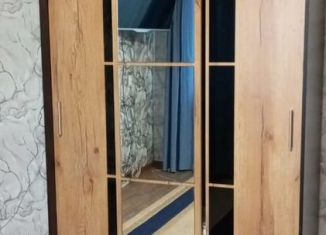 Однокомнатная квартира в аренду, 35 м2, Тайшет, микрорайон имени Мясникова, 2