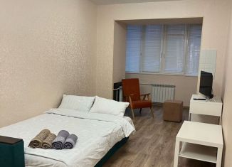 Аренда 1-комнатной квартиры, 45 м2, Пермь, улица Плеханова, 12, Дзержинский район